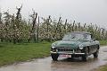 MG Bloesemrit op 24-4-2016 org. Jos&Marie-lou  (226)